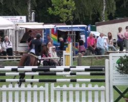 jumper Angie 234 (German Sport Horse, 2005, from Al Cantino (ex: Romario))