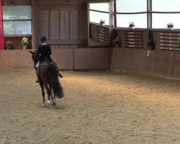 Reitturnier Schwerte-Gut Kückshausen 2022