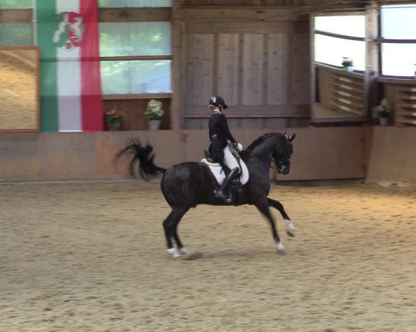Reitturnier Schwerte-Gut Kückshausen 2022
