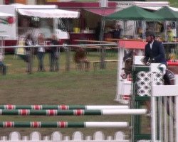 broodmare Estefania (Hanoverian, 2005, from Embassy I)