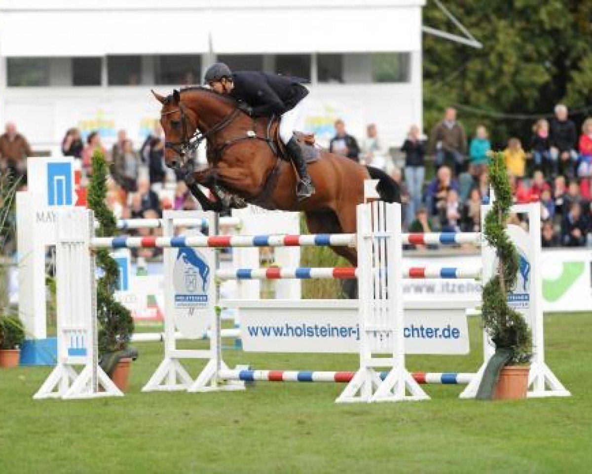 Springhest Cony 9 (Holstener, 2004, fra Con Air)