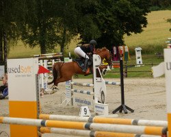 dressage horse Asti Royal (German Riding Pony, 2009, from Amarillys Sensation D)