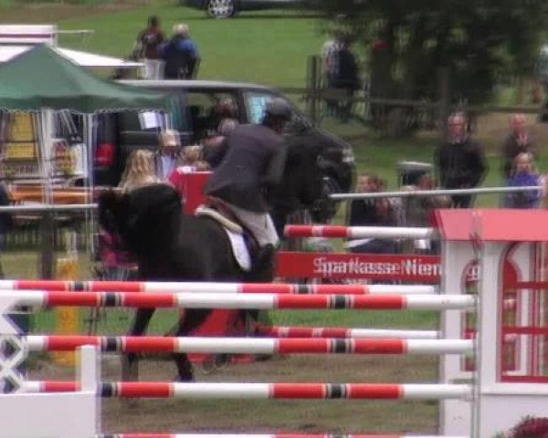 Springpferd Orland Di Campalto (Italienisches Warmblut, 2003, von Corland) Springpferd Orland Di Campalto (Italienisches Warmblut, 2003, von Corland)