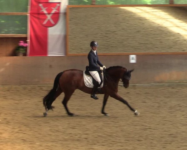Reitturnier Schwerte-Gut Kückshausen 2022
