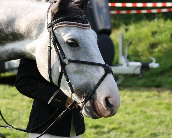 jumper Lord Louis 4 (Westphalian, 2002, from Lord Caletto)