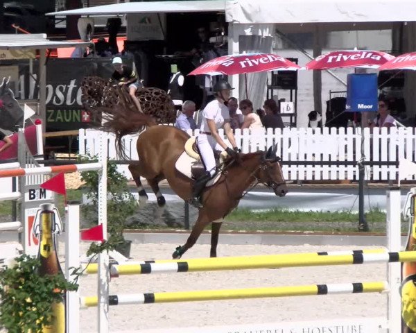 Reitturnier Gossau 2022