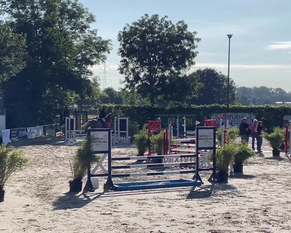 Video of Cannero L