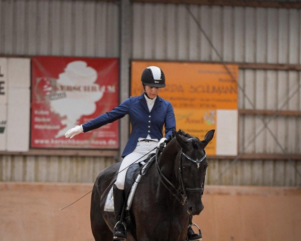 Dressurpferd Zar Lando (Deutsches Sportpferd, 2012, von Zonik)