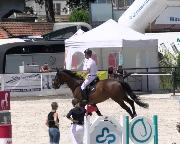 Reitturnier Gossau 2022
