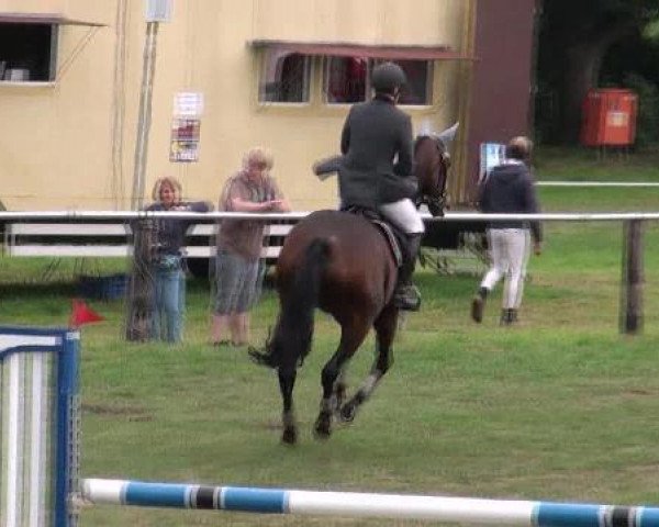 broodmare Kinley (Hanoverian, 2002, from Kolibris As)