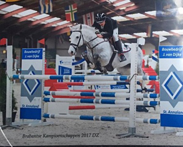 Springpferd Wouda's Voyou de Pleville (Französisches Pony, 2009, von Thunder du Blin)