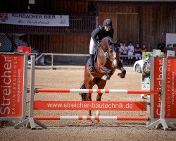 jumper Lavadina (Westphalian, 2015, from Lavagon)