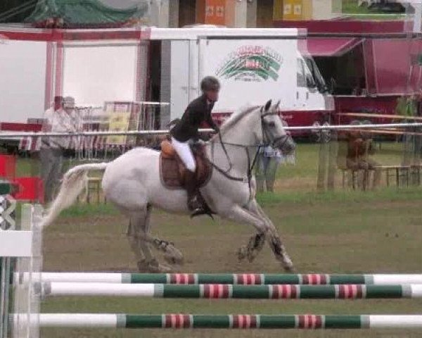 jumper Courello da Ville (Oldenburg, 1999, from Calido I)