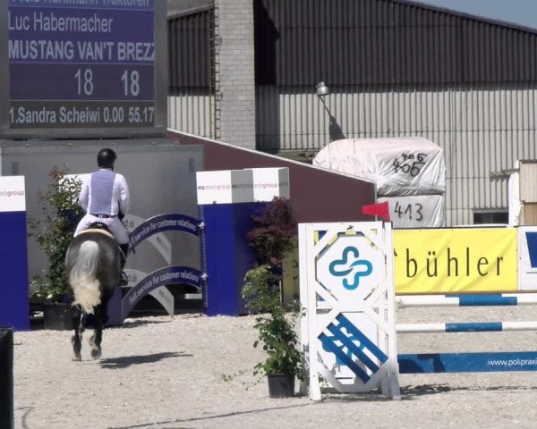 Reitturnier Gossau 2022