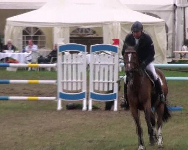 jumper Cockney 17 (Westphalian, 1999, from Champion du Lys)
