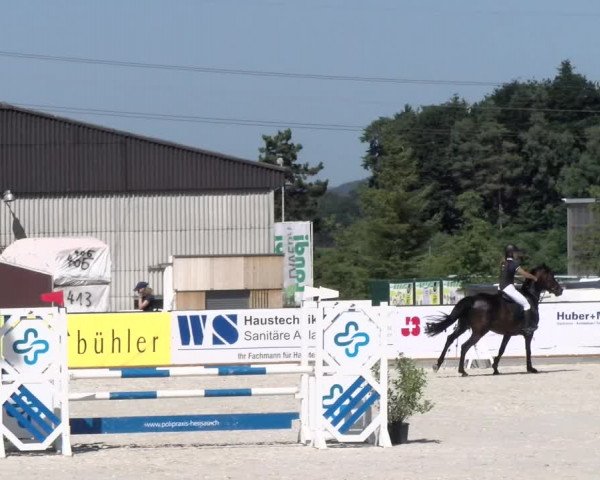 Reitturnier Gossau 2022