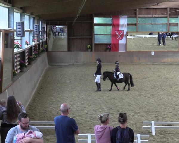 Reitturnier Schwerte-Gut Kückshausen 2022