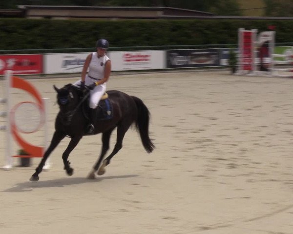Reitturnier Immenrode 2022