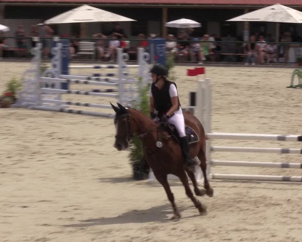 Reitturnier Immenrode 2022