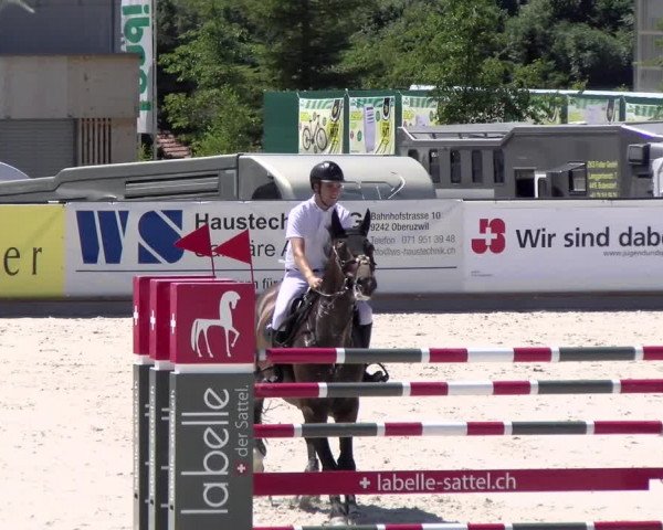 Reitturnier Gossau 2022