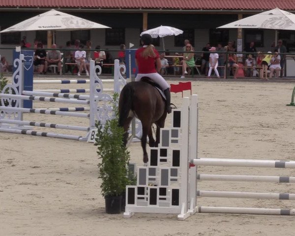 Reitturnier Immenrode 2022
