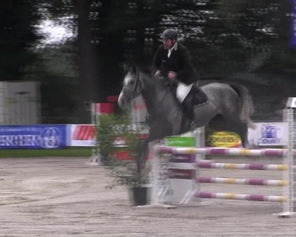 jumper Vong's Athena (Danish Warmblood, 2007, from Amarone)