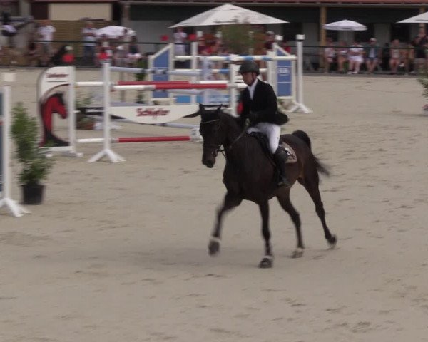 Reitturnier Immenrode 2022