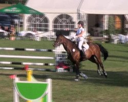 jumper Carry's Mylani (Oldenburg, 2005, from Carry Gold)