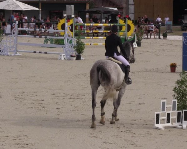 Reitturnier Immenrode 2022