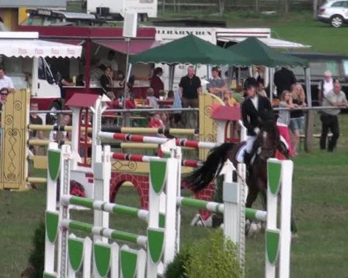 Springpferd Argentino 83 (Nederlands Welsh Ridepony, 2003, von Aester El Nino)