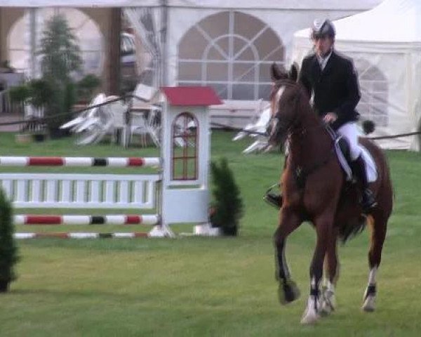 jumper Annie 35 (Hanoverian, 2008, from Adlantus As FRH)