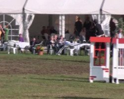 jumper Lea 273 (German Sport Horse, 2005)