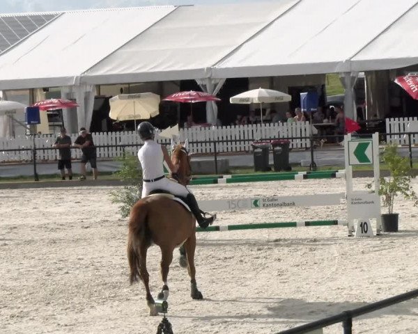 Reitturnier Gossau 2022