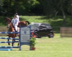 broodmare Cary (German Sport Horse, 2005, from Collini)