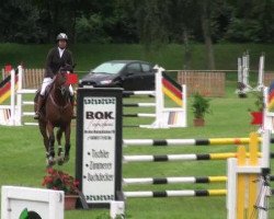 broodmare Cappyrella (Hanoverian, 2007, from Count Grannus)