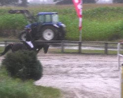 broodmare Cica (Oldenburg, 2005, from Come over)