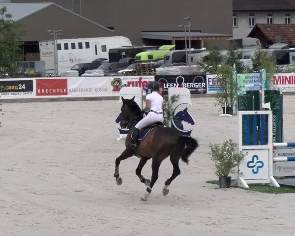 Reitturnier Gossau 2022