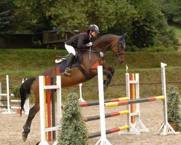 broodmare Charlize B (German Sport Horse, 2006, from Cypriano)