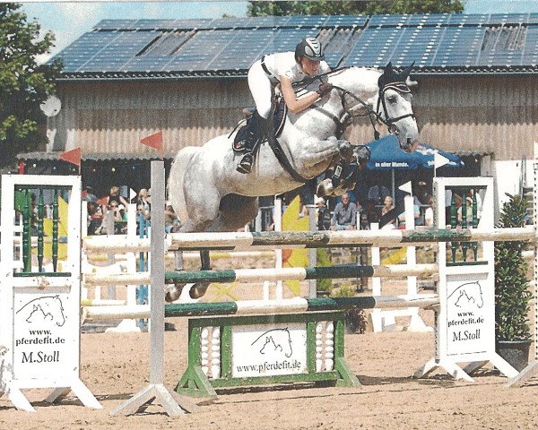 broodmare Cremona 21 (Holsteiner, 2004, from Clearway)