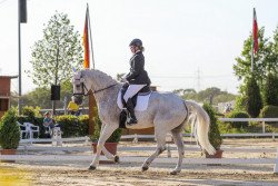 jumper Continis Casper E (Westphalian, 2009, from Contini)