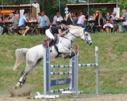 jumper Feivell Fynn Junior (Slovenian Warmblood, 2005, from Feivel Fynn)