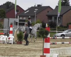 jumper Poseidon 126 (Westphalian, 2003, from Pik Labionics)