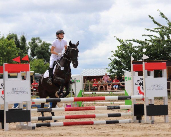 jumper Sheitera (Zweibrücken, 2007, from Sheitan D)