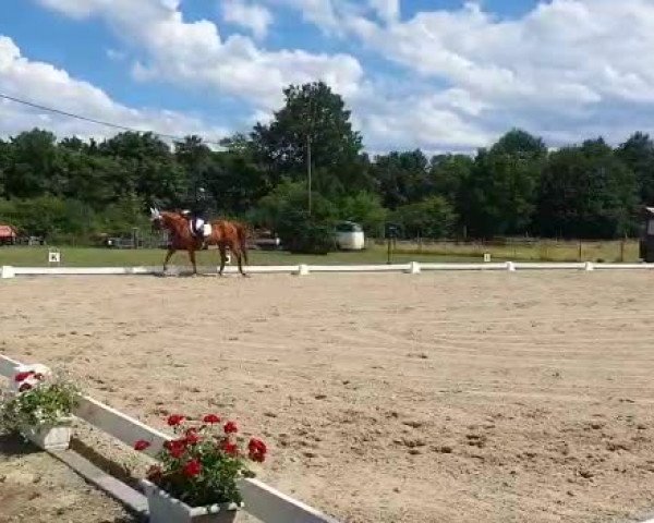 Video of Louisiana 162