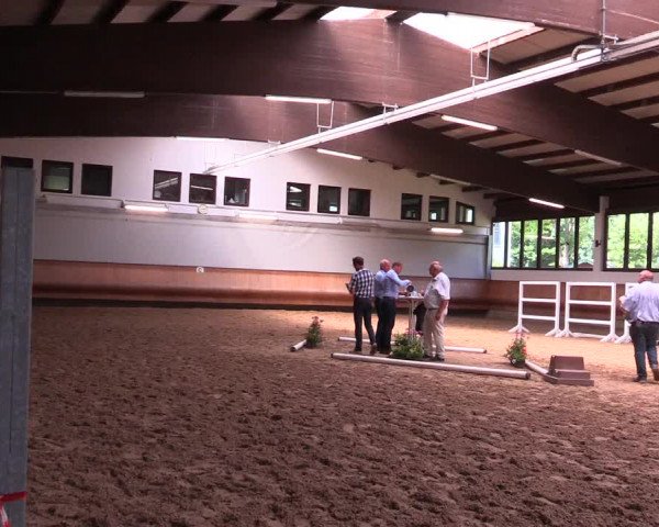 Hannoveraner Zuchtstutenprüfung mit Prämierung in Coesfeld 2022