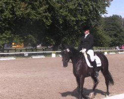 dressage horse Namiko (Westphalian, 2009, from Rittmeister)