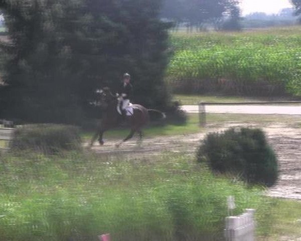 Skokový kůň Balunito (Westfálský kůň, 2005, od Balou du Rouet) - Reit- und Springturnier des LRFV Recklinghausen e.V. vom 23.-26.08.2012 24.08.2012
22 Springprüfung Kl L
