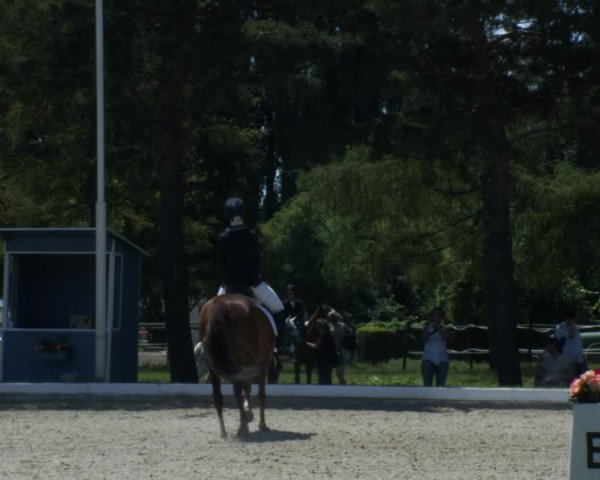 Reitturnier W, Wien-Freudenau/ASKÖ 2022
