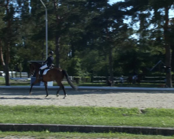 Reitturnier W, Wien-Freudenau/ASKÖ 2022