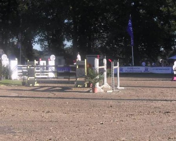 jumper Gina (Hanoverian, 2001, from Graf Top)